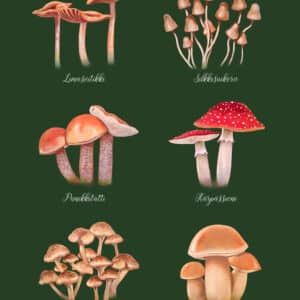 Printti Sienitaulu 30x40cm