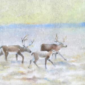 Akryylimaalaus akustiikkalevylle "Myötätuuleen"