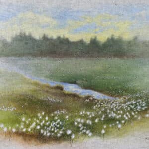 Akryylimaalaus akustiikkalevylle, "Suo"