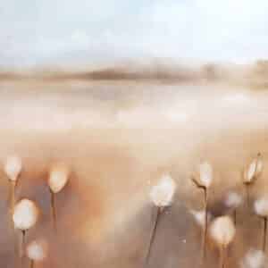 Öljyväri "Suovillat"